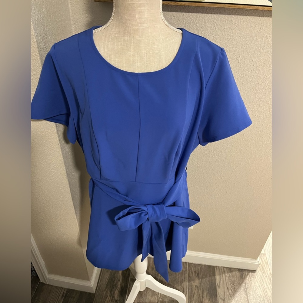 Blue/purple Peplum Lane Bryant top